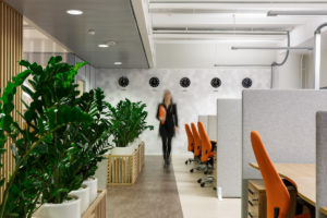 Так выглядит open space рабочая зона в здоровом офисе Sever Minerals — природные цвета и материалы, а также много зелени.