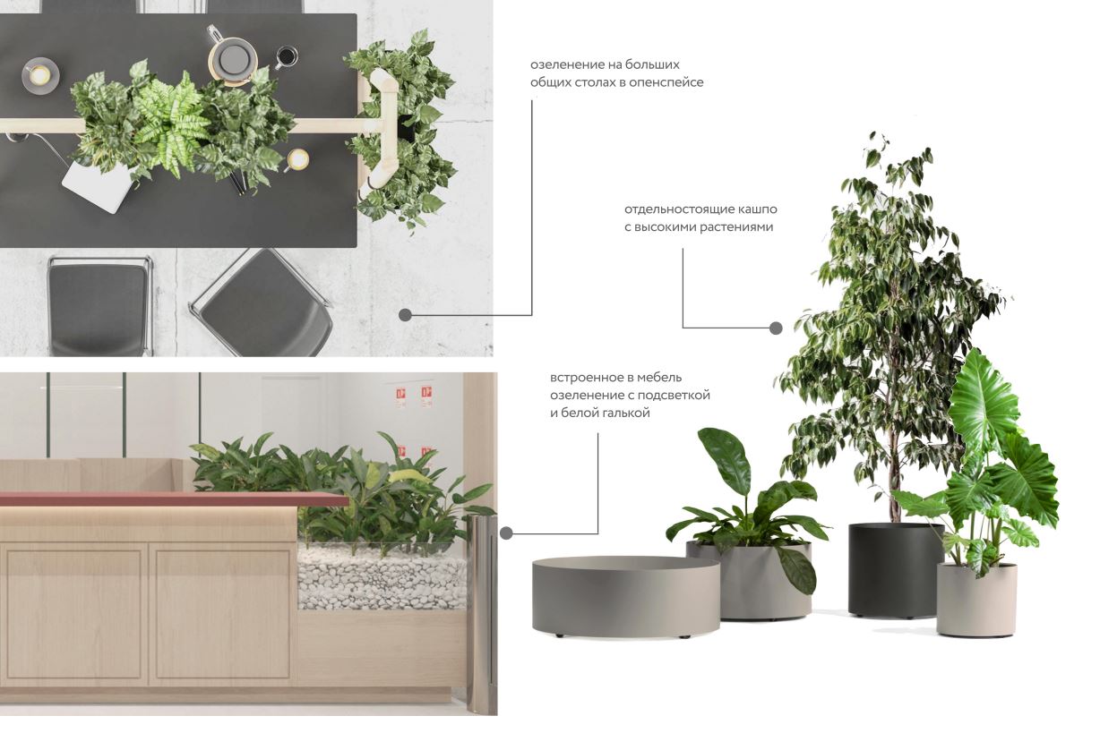 Для зонирования предложили использовать в том числе живые растения, Для зонирования мы предложили использовать в том числе живые растения