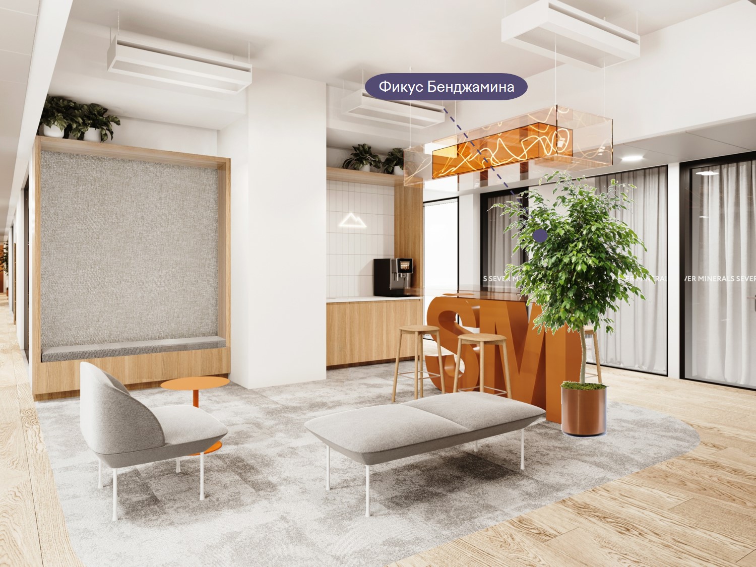 Фикус выглядит изящно в интерьере — подчеркивает его и не подавляет пространство Фикус выглядит изящно в интерьере — подчеркивает его и не подавляет пространство