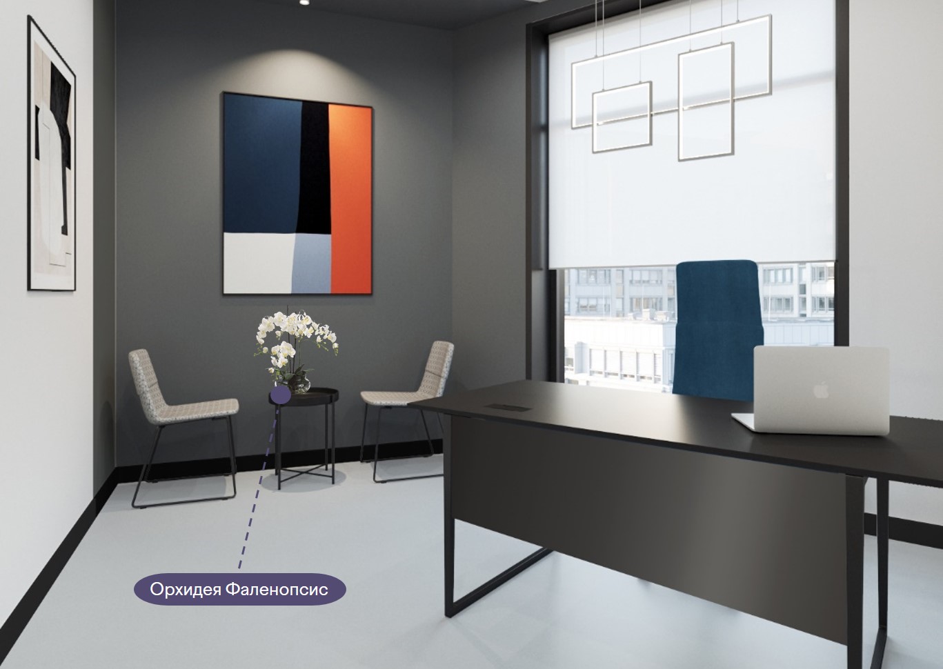 Орхидея Фаленопсис красивое цветущее растение, которым можно украшать проходные зоны в офисе Орхидея Фаленопсис красивое цветущее растение, которым можно украшать проходные зоны в офисе