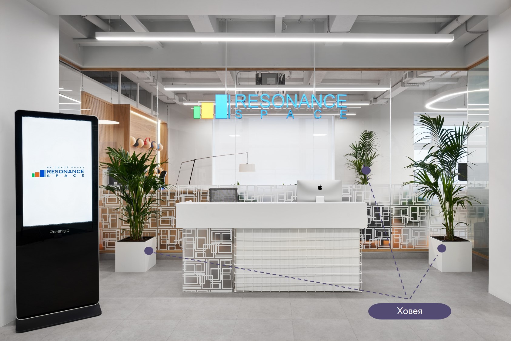 Ховея хорошо смотрится в офисах как с высокими, так и с низкими потолками Ховея хорошо смотрится в офисах как с высокими, так и с низкими потолками