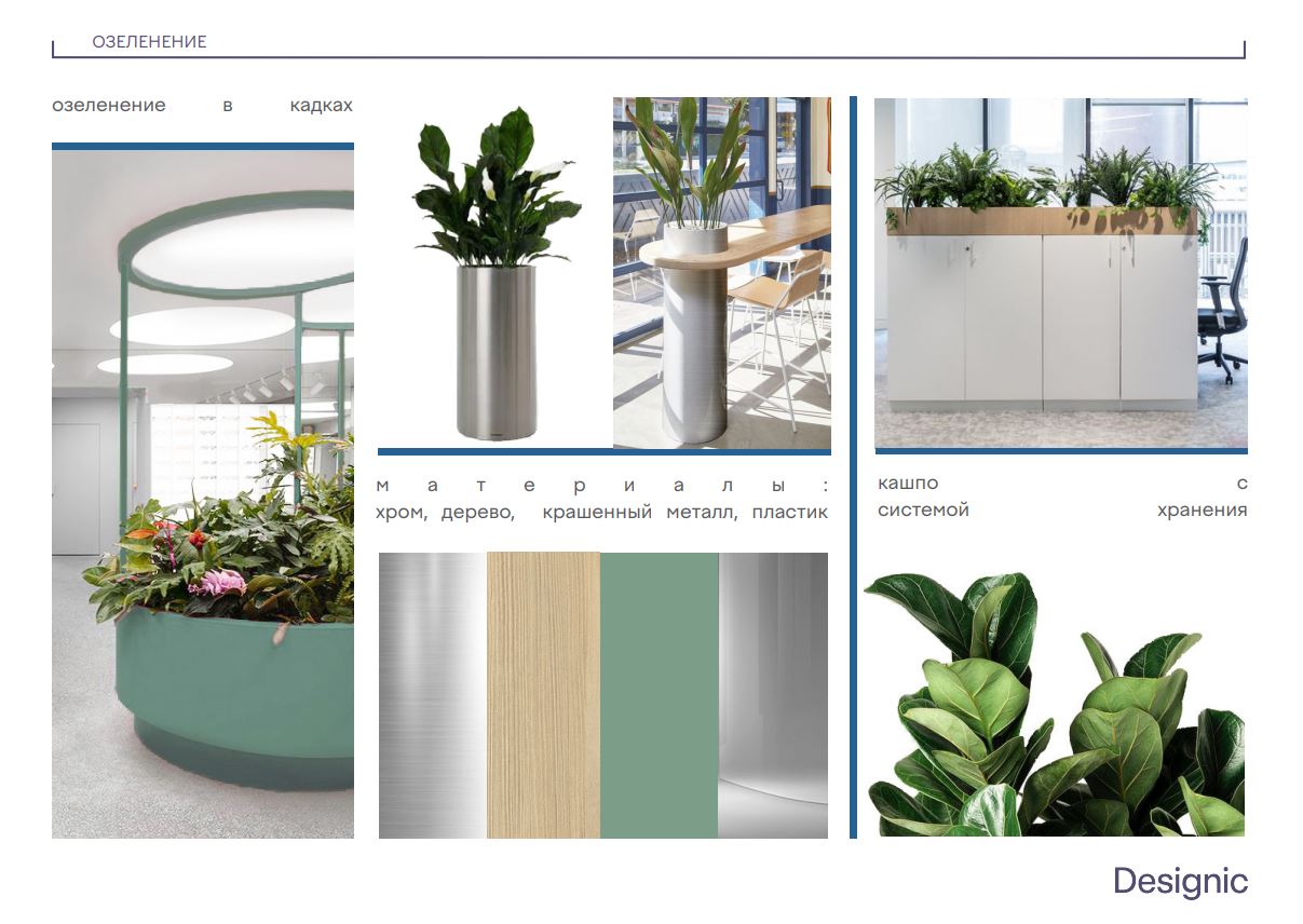 варианты живых растений для озеленения офиса и их расстановку варианты живых растений для озеленения офиса и их расстановку