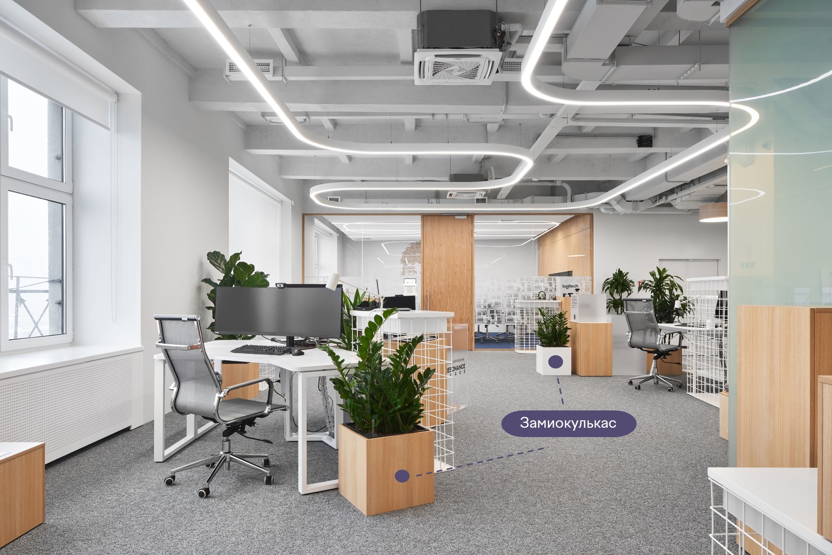 Terra выделили девять растений, которые идеально подходят для озеленения офиса Terra выделили девять растений, которые идеально подходят для озеленения офиса