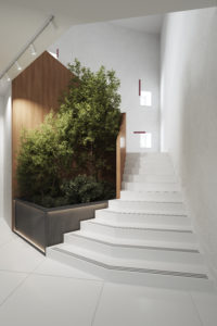 В дизайне офиса для строительной компании мы использовали много живых растений — они украшают атриум, переговорные и даже лестницы
