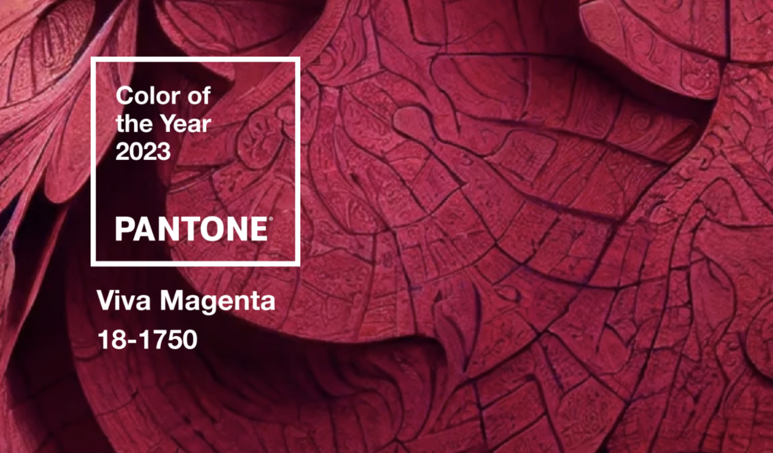 В 2023 трендовым цветом стал малиново-красный