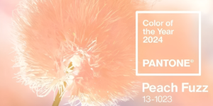 Цвет года в 2024 — «персиковый пушок», символизирует спокойствие, заботу друг о друге и акцент на важности здоровья